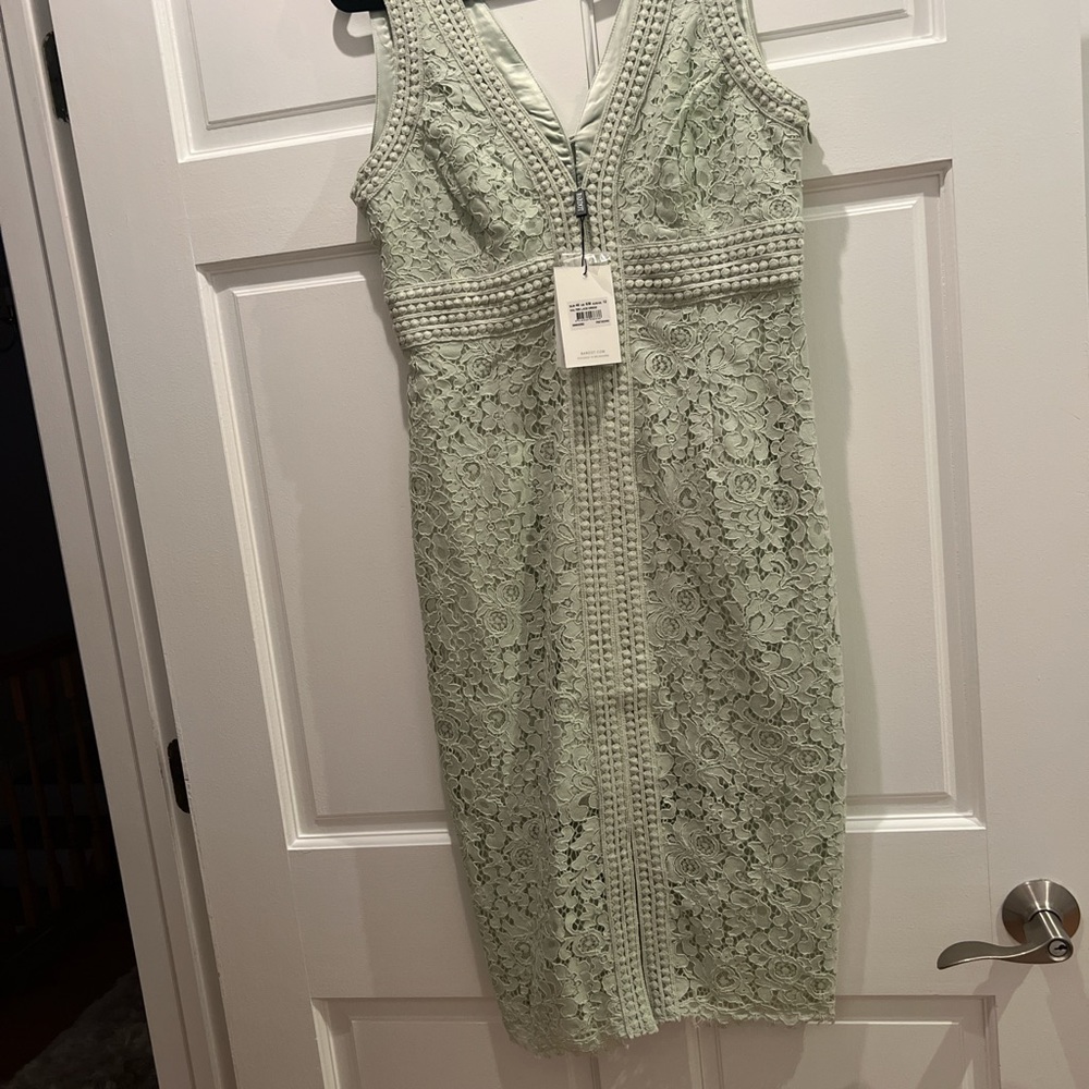 Bardot pistachio dress